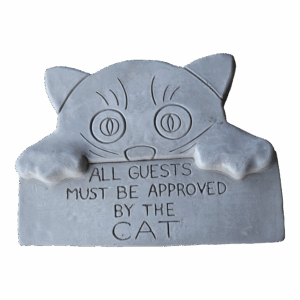 APPROVED BY THE CAT