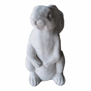 BUNNY SITTING