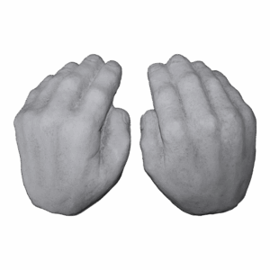 HANDS (SET)