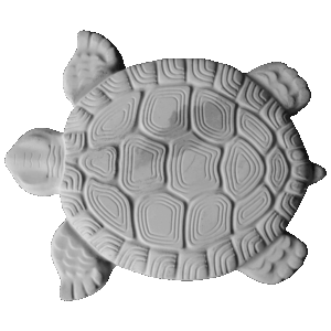STEPPING STONE TURTLE