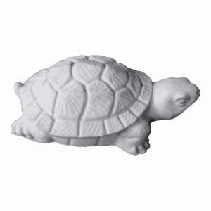 TORTOISE (LARGE)