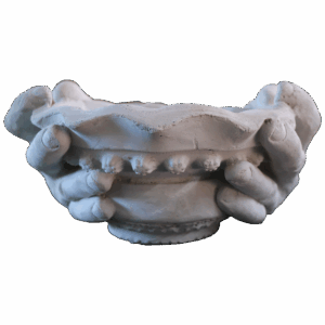 HAND DOUBLE HOLDING BOWL