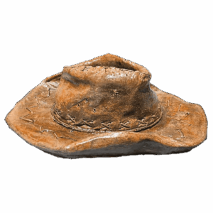 HAT CAMEL